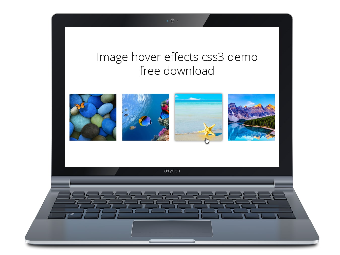 Image hover effects css3 demo free download